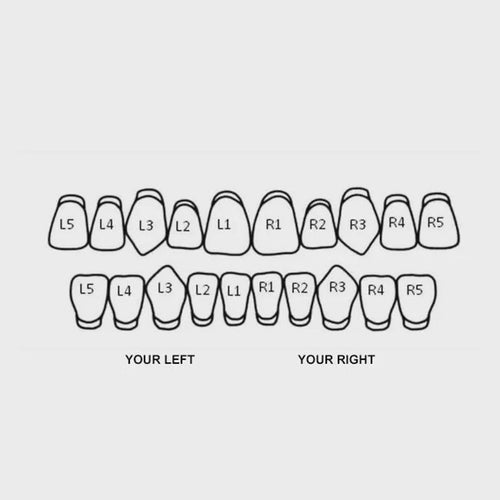 Double Cap Tooth Grillz