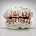 Princess Square Diamond Cut with Diamond Dust Grillz