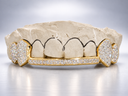 Iced Fang Bridge Grillz