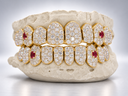 Iced Out Ruby Fang Grillz